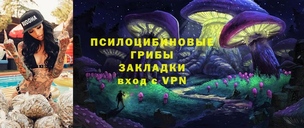 мдма Новодвинск