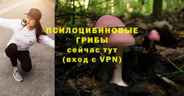 мдма Новодвинск