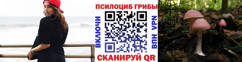 Псилоцибиновые грибы MAGIC MUSHROOMS  цены   Чкаловск 